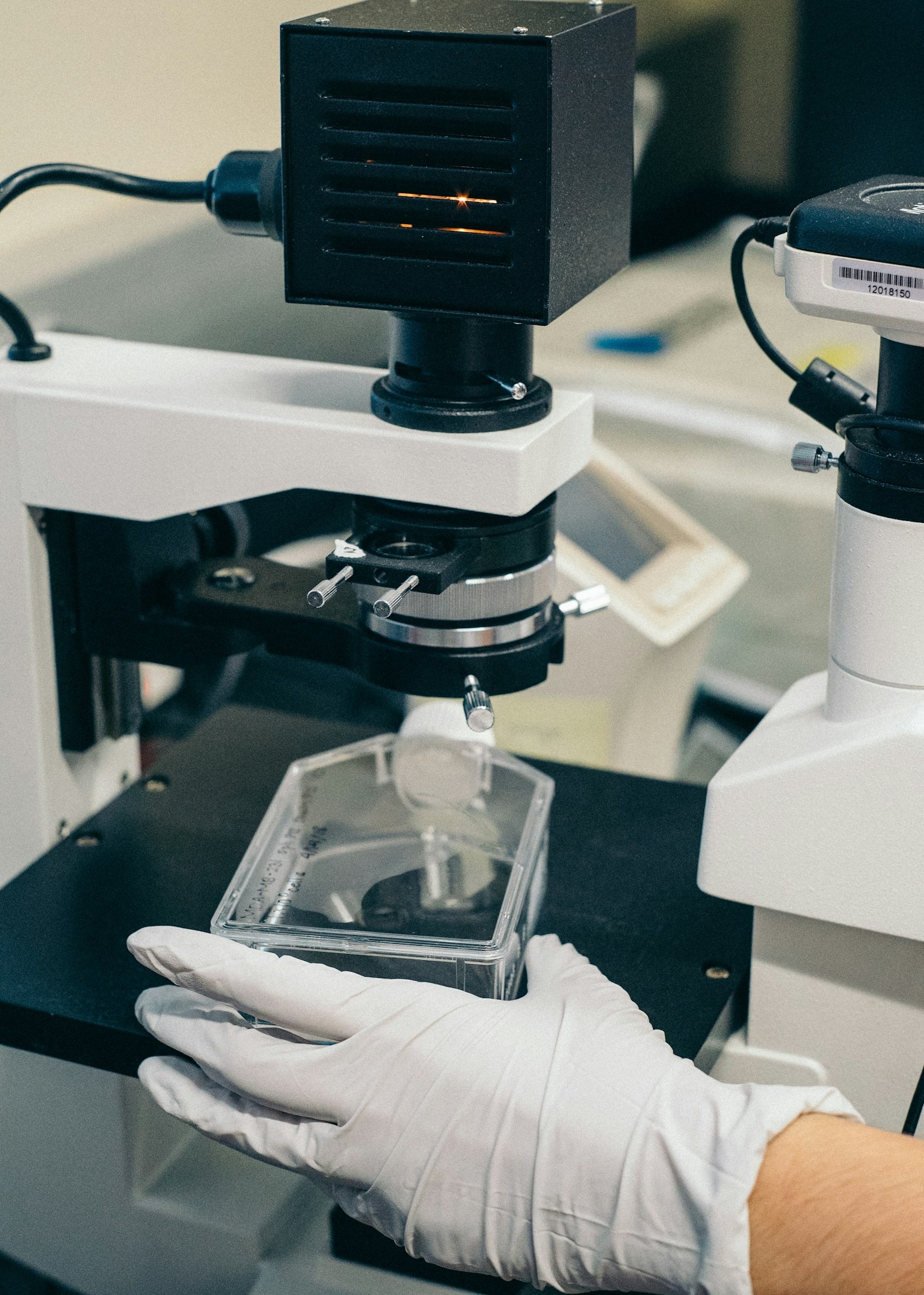Why Medication Absorption Matters More Than Ever